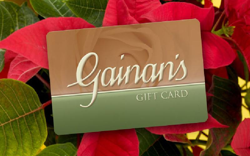 Gainan's Midtown Flowers - $25 Gift Card for $12.50