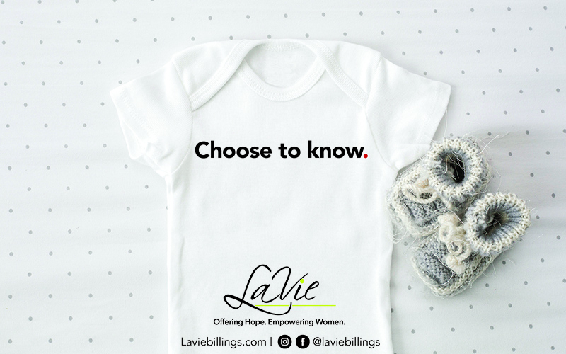 Lavie - Donate $10 or more