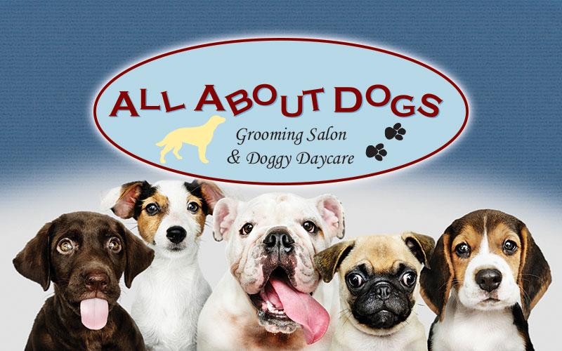 All About Dogs - 5-day Daycare Pass $52.50 for Small Dogs (50 lbs or less) or $57.50 for Large Dogs (over 50 lbs)