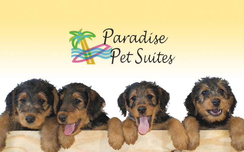 Paradise Pet Suites - 50% Off Stays and Certificates at Paradise Pet Suites!
