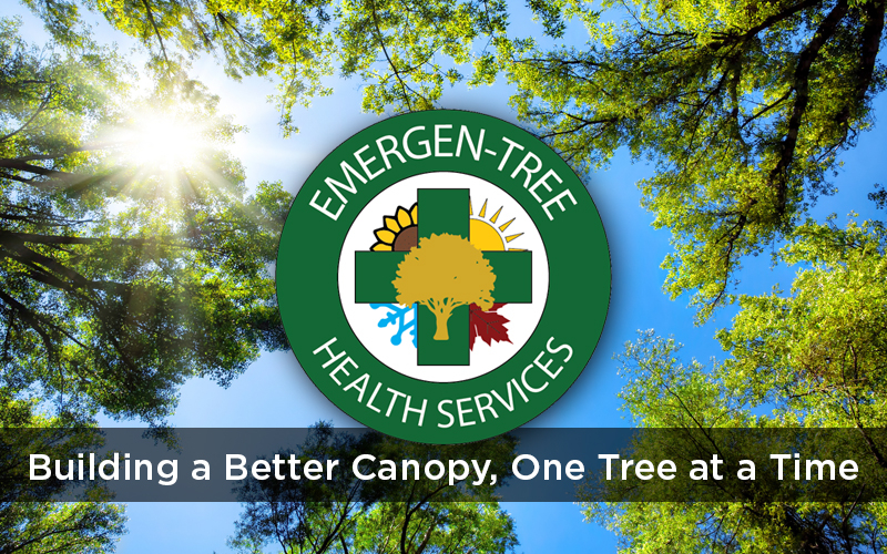 Emergen-tree Health Services - Tree Care Gift Certificates