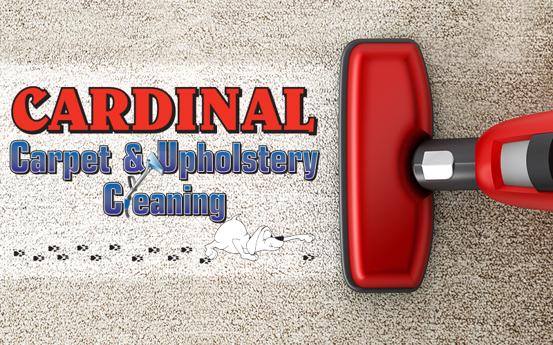 Cardinal Carpet & Floor Cleaning - For $49 Get 2 Rooms Cleaned from Cardinal Carpet & Floor Cleaning