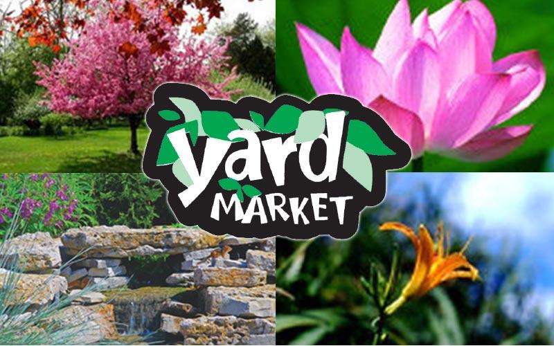 Yard Market - $50 for $100 Plants, Trees, Shrubs, Mulch & Rocks (or Landscape Design and Build)