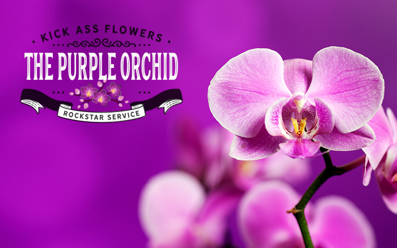 Purple Orchid Flowers - 50% OFF at Purple Orchid Flowers