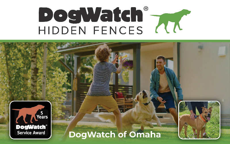 Dogwatch Of Omaha - SAVE $100