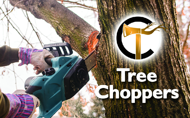 Tree Choppers - 3 Half Price Services to Choose From