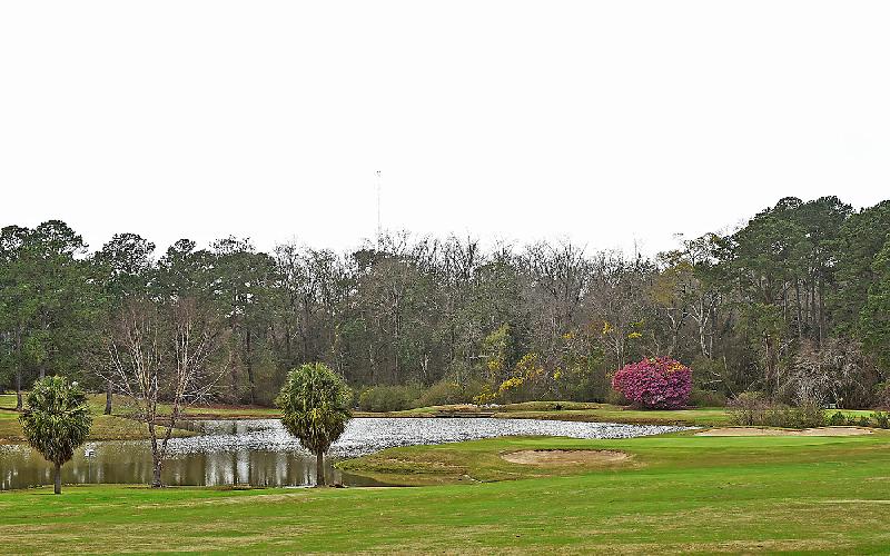 Dothan National Golf Club - 18 Holes of Golf w/Cart